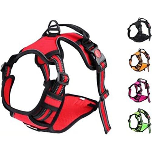 PetApartment Harnesses