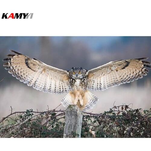 5d DIY round Diamond Painting full squar Cross Stitch animal Pet cat owl Diamond Embroidery home Decorative gift XY1