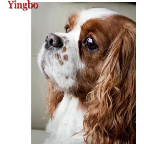 Diy Diamond Painting Cavalier King Charles Spaniel Full Square round Diamond Mosaic Dog Pet 5D Diy Diamond Embroidery Rhinestone