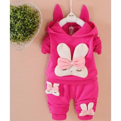 Baby Girl Clothes 2019Spring Autumn Cartoon Rabbit Hooded Hoodies + Pants The three little rabbit Outfit Kids Jogging Suits