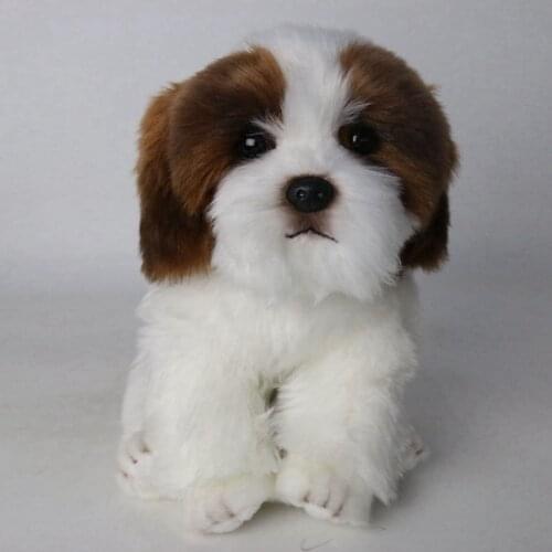 24CM Cute Simulation Puppy Kids Dolls Pekingese Dog Stuffed Pet Soft Animal Toys For Children Gift Decor Collection Brinquedos