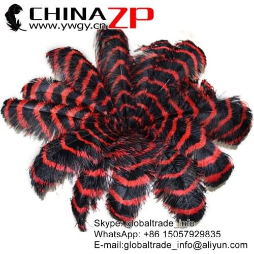 CHINAZP Factory Large Size 70-75cm (28-30") 50pcs/lot Exporting Good Quality Dyed Red Black Striped Ostrich Feather