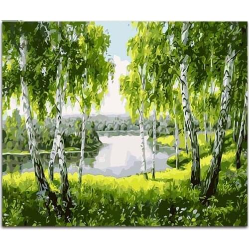 Coloring by numbers White Birch at the creek scenery pictures paintings artwork canvas paint with kits for hoom decor
