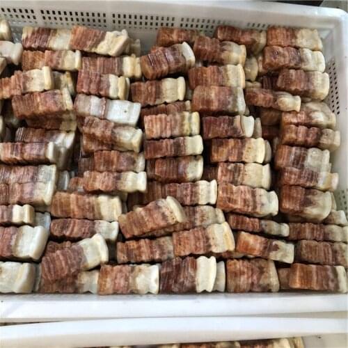 Natural rock meat stones from the Jurassic age