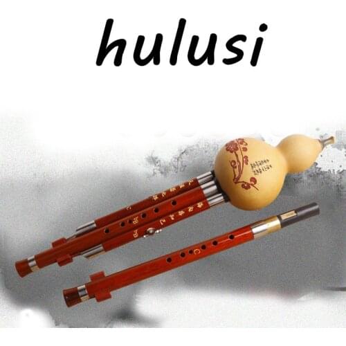 Professional Chinese Handmade Rosewood Hulusi Flute Double Tone C/Bb Gourd Flauta With Case