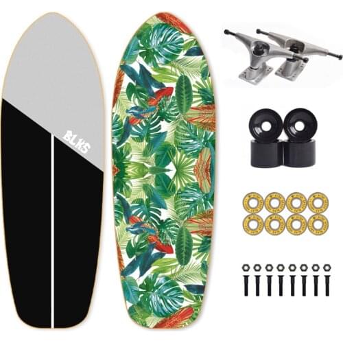 Cx4 Land Surfboard Beginner Surfboard Walking Skateboard Longboard Penny Board For Beginner Exercise Brush Street Big Fish Board