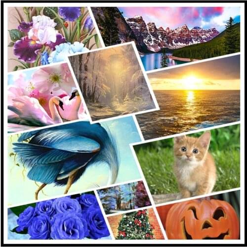 Diy Diamond Painting Blue Enchantress Halloween Pumpkin Blue Stork White Swan Living Room Kitchen Bedroom Decoration Poster