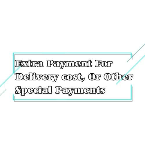 Extra Payment For Delivery cost, or aftersale service Or Other Special Payments