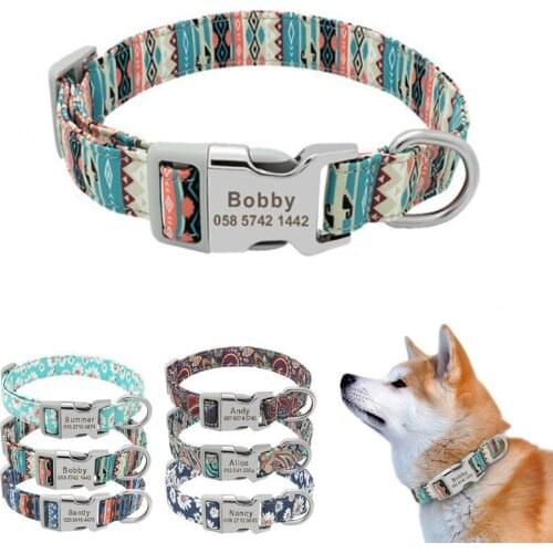 Let’s Pet Collars