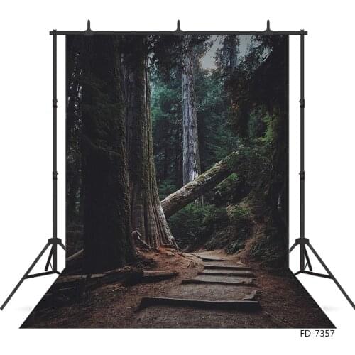 Autumn Park Deep Forest Stairs Photographic Backgrounds Photophone Vinyl Backdrops for Photo Studio for Portrait Photocall