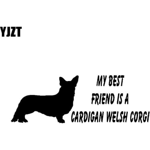 YJZT 16CM*5.6CM My Best Friend Is A Cardigan Welsh Corgi Dog Vinyl Windows Car Decal Sticker Black/Silver C2-3055