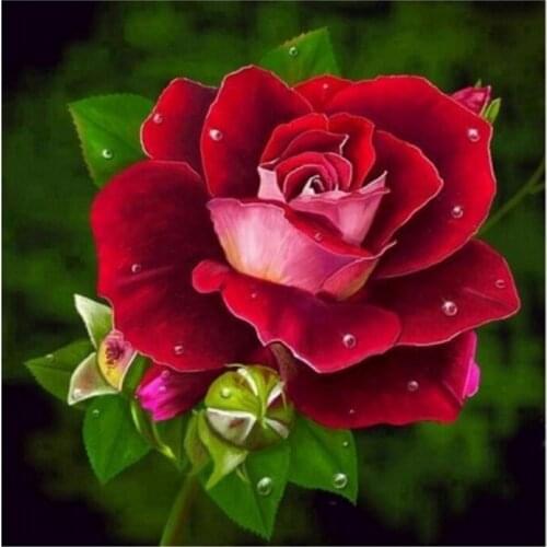 5D DIY Rose Patterns Diamond Embroidery Flower Full Mosaic Diamond Painting Cross Stitch Home Decoration Rhinestones
