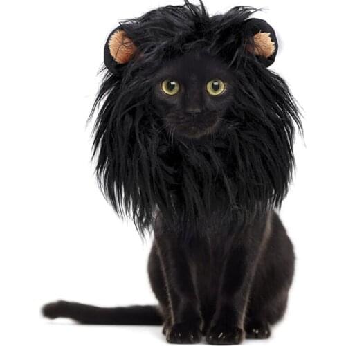 Dog accessories chihuahua lion hat dog halloween costume dog hat puppy accessories dog accessories for small dogs cat hat