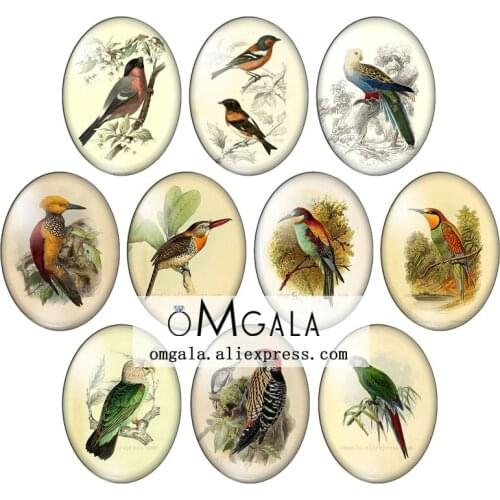 Beauty Vintage Birds Owl parrot patterns 10pcs 13x18mm/18x25mm/30x40mm Oval photo glass cabochon demo flat back Making findings