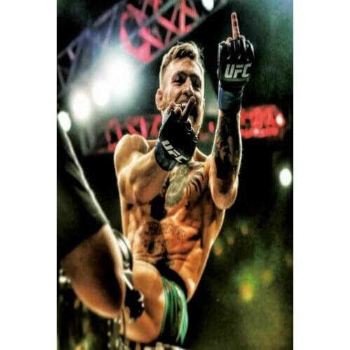 Lot style Choose Conor McGregor Motivational BOXING Art print Silk poster Home Wall Decor