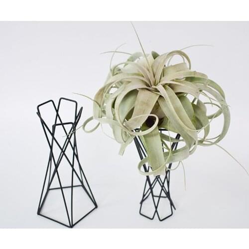 Nordic Style Air Plant Holder Metal Flower Pots Stand Geometric Iron Tillandsia Holder Table Home Garden Ornaments