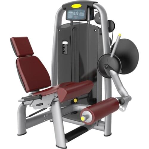 Seated Bent Leg Trainer Muscles Biceps Femoris Trainer Gym Exercise Thigh Indoor and Outdoor Large Fitness Equipment XS