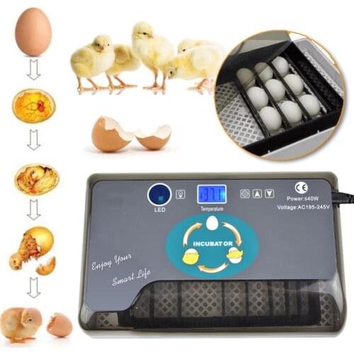 Newest Farm Hatchery Incubator Brooder Machine 4-35 Egg Hatchers Cheap Price Chicken Automatic Eggs Incubator Bird Quail Brooder