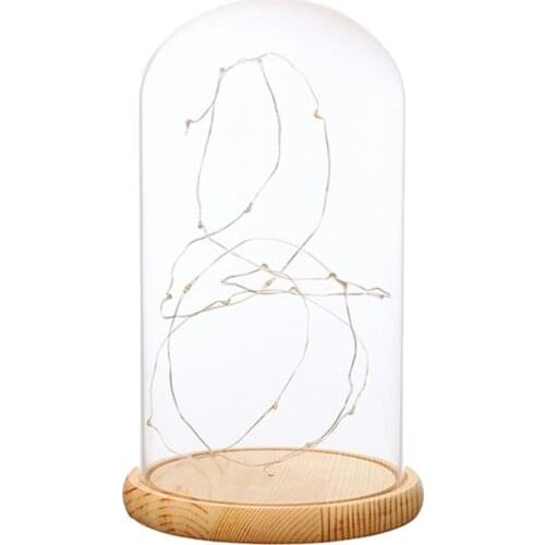 Glass Display Dome Cloche With Suspended LED Fairy Lights Xmas Birthday Gift