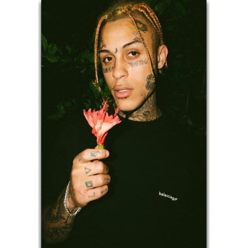 Lil Skies Rap Hip Hop Music Singer Rapper Star Silk Fabric Wall Poster Art Decor Sticker Bright