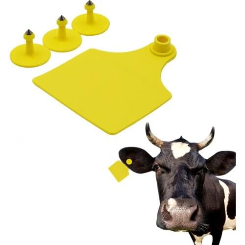50 Pcs Farm Equipment Cattle Cow horse camel Ear tag Earrings Livestock Feeding Tools No words Cattle Colors ear tag Animal Tool