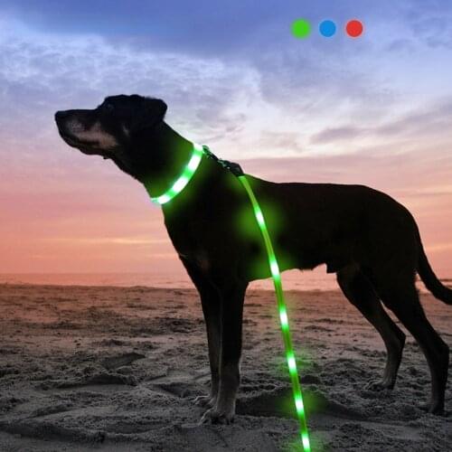 Pet Appliances Luminous Leash Collar USB Charging LED Dog Collar Leash
