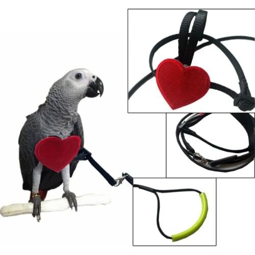 Anti-bite Flying Training Rope Parrot Birds Ultralight Harness Leash Soft Portable Pet Toys
