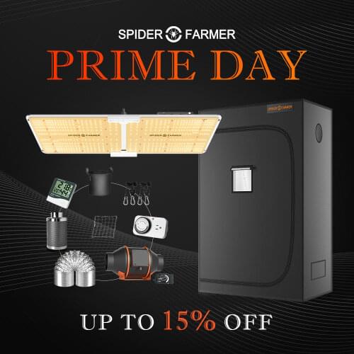 LED Plant Lamps SPIDER FARMER China