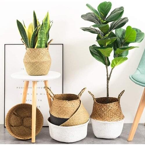 WHISM Flower Pots