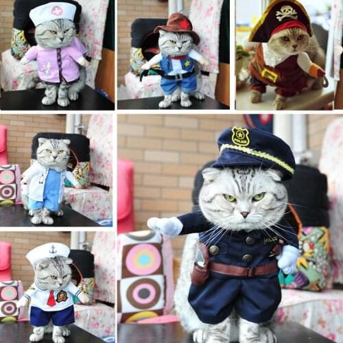 Cat Costume Funny Dogs Costumes Hot Product 2018 Realistic Cat Wonderland Corsair Halloween Clothes Dressing Up Cosplay Pirate