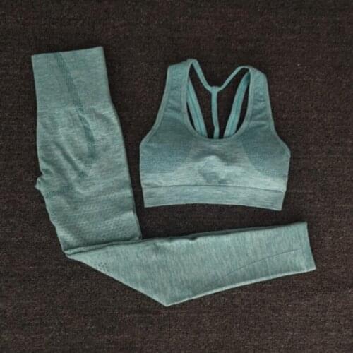 New 2PCS Seamless Yoga Set Women Gym Fitness Clothing High Waist Leggings+Bra Yoga Suit Training Sport workout Sportswear