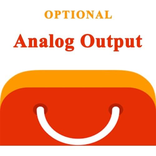AO Analog output (optional)