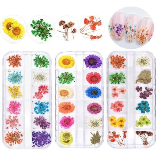 1Box Dried Flowers Leaf Nail Decoration Natural Floral Sticker 3D Dry Beauty Nail Art Decals Jewelry UV Gel Polish Manicure