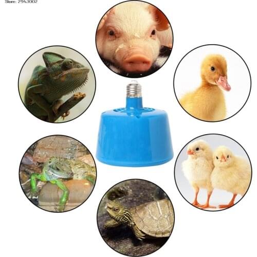 Pets Livestock Piglets Chickens Heat Warm Lamp Keep Warming Bulb 220V 100-300W