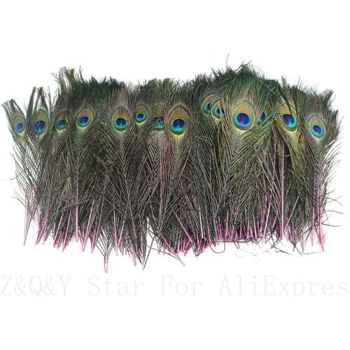 20 natural peacock feathers dyed pink for craft decoration 25-30 cm (10-12 inches) Diy jewelry feather vase accessory