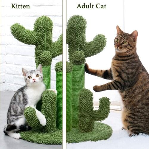 Cactus Cat Scratching Post with Dangling Ball Cats Furniture Climbing Tree Play Toy Cats Kittens Scratcher Scratching Tree Tower