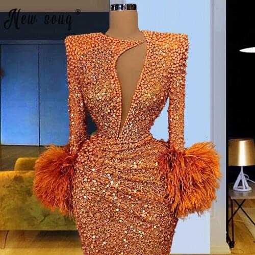 Sexy V Neck Long Sleeve with Feather Long Evening Gowns 2021 Hot Gorgeous Mermaid Robe De Soiree Custom Made Plus Size