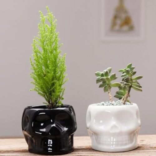 Cartoon Black white Skull Head Ceramic Flowerpot Vase Creative Micro Landscape Green Plant Hydroponics Pot Desktop Ornaments