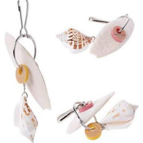 Cuttlefish Bone Shell Parrot Peony Molars Supplement Calcium Appliances Birds Squirrels Tortoise Gnawing Toys 6pcs/lot