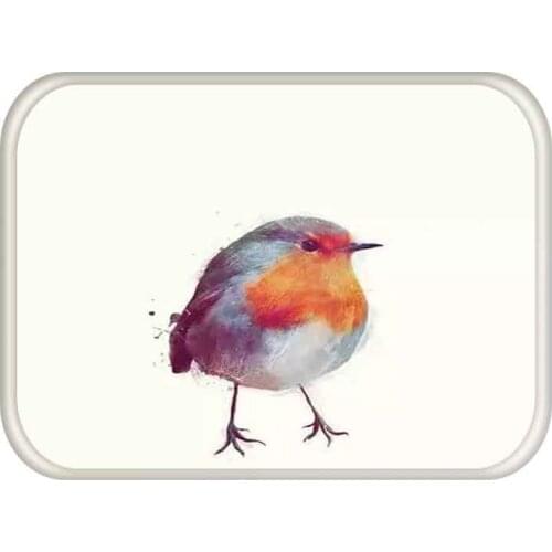 40x60cm Cute Diy Print Floor Mat Bathroom Ground Mat Slip Door Bath Pad Rug Living Room Kitchen Carpet Home Decor Cat