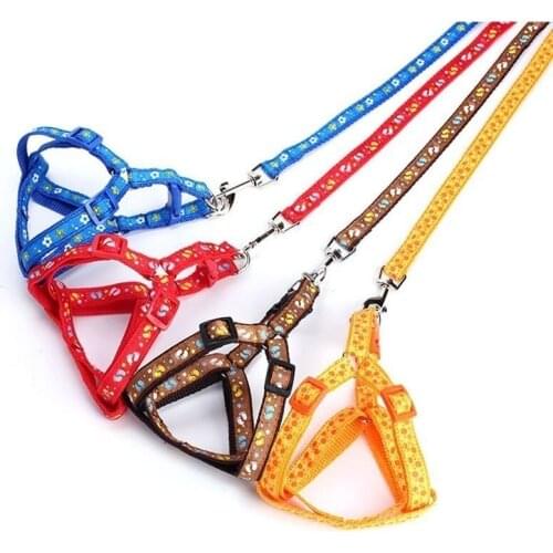 Colorful Patch Printing Small Dog collar perro Leash Pitbull Adjustable Nylon Puppy Harness Beagle Pet Accessories Cat Products