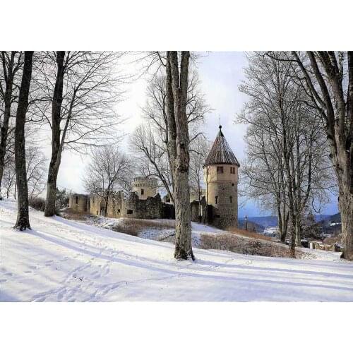 Vintage Castle Snow Grove Photo Backdrop Customized Photocall Background for Children Baby Portrait Photoshoot Photography Props