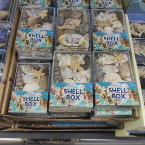 1 box Gram Mix Natural Sea Shells Conch Coquillage Beach Decor Craft Diy Marine Style Fish Tank Seashells Conch Embellishment