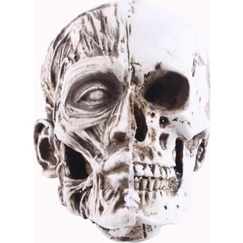 Resin Skull Statue Home Decor Craft Statues For Decoration Art Carving Sketch Medical Model Halloween Decor Figurines Sculpture