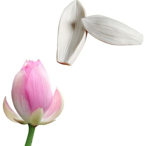 Lotus Veiner Silicone Surgarcraft Mold Chocolate Fondant Gumpaste Sugar Clay Flower Cake Decorating Moulds DIY M2095
