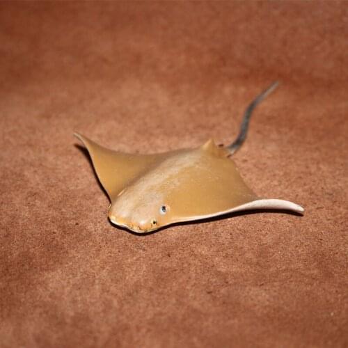 Pvc figure model oty Simulation marine animal model toy ray ray ray, oxnose ray, fork head, Yan ray