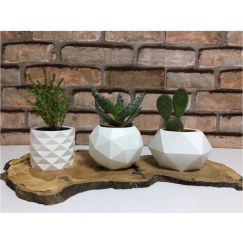 3'lü White Color Concrete Sukulent And Cactus Flower Pot Set