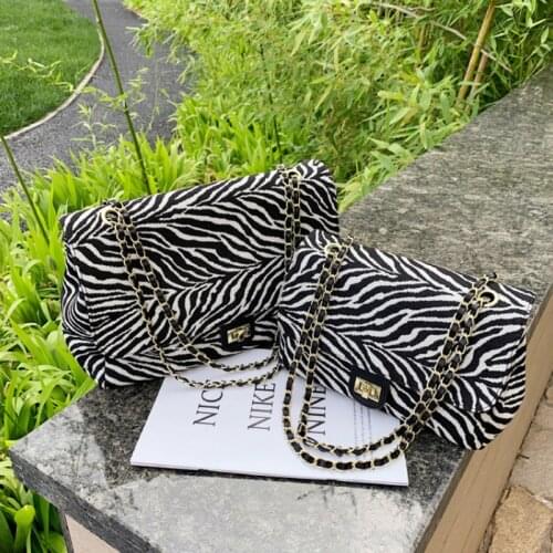 Luxury Designer Handbag Women Large Capacity Shoulder Bag Satchel Style Stripe Crossbody Bags For Women 2021 Chain Canvas Bag