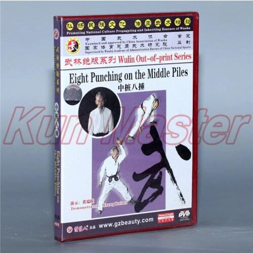 Eight Punching On The Middle Piles Kung Fu Teaching Video English Subtitles 1 DVD