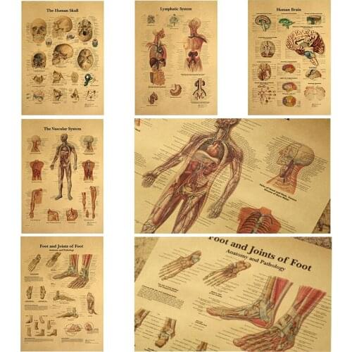 Human Body Structure Detail Drawing Retro Poster Vintage Poster Medical Decoracion Painting Wall Art Kraft Paper Wall Stickers